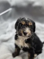 processed/4225b722-1744-42f6-a220-e15c21cf2cdd/listing/7ddfb4da-9af9-400c-92eb-f4cf1ad51754/66a76eba-0c79-4366-aa72-fb078b802e3b