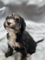 processed/4225b722-1744-42f6-a220-e15c21cf2cdd/listing/7ddfb4da-9af9-400c-92eb-f4cf1ad51754/90cfa73f-8a29-4421-945a-031066d3b0fa