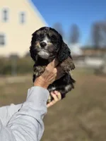 processed/4225b722-1744-42f6-a220-e15c21cf2cdd/listing/7ddfb4da-9af9-400c-92eb-f4cf1ad51754/b4a5ab1b-08ca-489c-895e-c42fb744cb5a