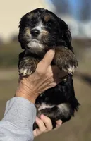 processed/4225b722-1744-42f6-a220-e15c21cf2cdd/listing/7ddfb4da-9af9-400c-92eb-f4cf1ad51754/c0d29552-98cf-48df-beee-d2f4188974b9