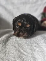 processed/4225b722-1744-42f6-a220-e15c21cf2cdd/listing/9d13b918-1dd8-434b-b41b-bd4a915ad923/6dae9311-f230-4c33-967b-c4483aac0bcc