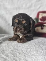 processed/4225b722-1744-42f6-a220-e15c21cf2cdd/listing/9d13b918-1dd8-434b-b41b-bd4a915ad923/77f6c2c6-6358-4563-82aa-98bbc29dd7ff