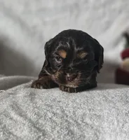 processed/4225b722-1744-42f6-a220-e15c21cf2cdd/listing/9d13b918-1dd8-434b-b41b-bd4a915ad923/8578af1f-d06e-478c-8e86-3430d4869593