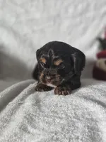 processed/4225b722-1744-42f6-a220-e15c21cf2cdd/listing/9d13b918-1dd8-434b-b41b-bd4a915ad923/88ab0228-6c76-4c76-99bd-b2c24e7ca070