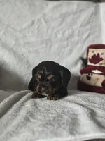 processed/4225b722-1744-42f6-a220-e15c21cf2cdd/listing/9d13b918-1dd8-434b-b41b-bd4a915ad923/9ddd53af-e8f8-4401-ad71-e5db349baa56