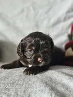 processed/4225b722-1744-42f6-a220-e15c21cf2cdd/listing/fddcc189-9372-4c8f-95a3-bf69c6dc7b46/087bb2a5-0b17-4299-801d-4216a790cd9f