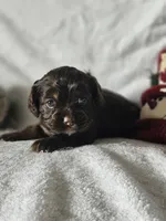 processed/4225b722-1744-42f6-a220-e15c21cf2cdd/listing/fddcc189-9372-4c8f-95a3-bf69c6dc7b46/54a98500-cc07-46e7-91f9-cf1c201847cf