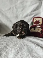 processed/4225b722-1744-42f6-a220-e15c21cf2cdd/listing/fddcc189-9372-4c8f-95a3-bf69c6dc7b46/781e99fb-a92c-4c7a-bda9-905af205674a