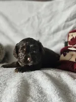 processed/4225b722-1744-42f6-a220-e15c21cf2cdd/listing/fddcc189-9372-4c8f-95a3-bf69c6dc7b46/8b10d27b-3fef-4390-b112-2f7cd635542c