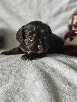 processed/4225b722-1744-42f6-a220-e15c21cf2cdd/listing/fddcc189-9372-4c8f-95a3-bf69c6dc7b46/9967c671-63b0-488e-ad7a-4675619a8dc4