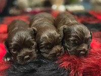 processed/4225b722-1744-42f6-a220-e15c21cf2cdd/listing/fddcc189-9372-4c8f-95a3-bf69c6dc7b46/a0045843-ed50-451c-bdf1-c5b49686da6a