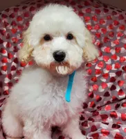 processed/42296abb-8bb6-4f1b-9ec1-af9db4834802/listing/57120168-5231-462b-ab94-2b9b2a38953b/0767ded0-d44c-450d-8a2b-7cb38701dde8