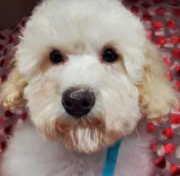 processed/42296abb-8bb6-4f1b-9ec1-af9db4834802/listing/57120168-5231-462b-ab94-2b9b2a38953b/26c18abd-f884-4d96-b440-96dade12ae51