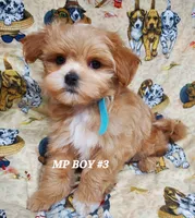 processed/42296abb-8bb6-4f1b-9ec1-af9db4834802/listing/93dd2516-8775-4ef3-9a76-758756374660/431c5e2b-0a83-4720-91d7-9a9ffd4ffe85