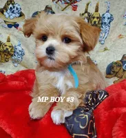 processed/42296abb-8bb6-4f1b-9ec1-af9db4834802/listing/93dd2516-8775-4ef3-9a76-758756374660/6e1aeba8-0d06-448b-8e01-3761aca5f0a1