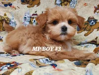 processed/42296abb-8bb6-4f1b-9ec1-af9db4834802/listing/93dd2516-8775-4ef3-9a76-758756374660/866438ea-1318-4947-9701-86cdc106bc26