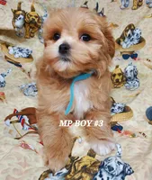 processed/42296abb-8bb6-4f1b-9ec1-af9db4834802/listing/93dd2516-8775-4ef3-9a76-758756374660/9cb873da-714c-468e-a355-afeae1593184