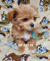 processed/42296abb-8bb6-4f1b-9ec1-af9db4834802/listing/93dd2516-8775-4ef3-9a76-758756374660/a98e40f4-3ef2-4e4b-94c2-08d74fa41408