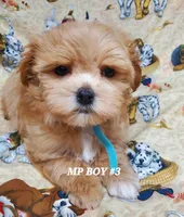 processed/42296abb-8bb6-4f1b-9ec1-af9db4834802/listing/93dd2516-8775-4ef3-9a76-758756374660/d028e943-a1e6-41cd-8ccf-7a5dd2b8ebf3