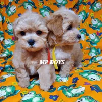 processed/42296abb-8bb6-4f1b-9ec1-af9db4834802/listing/bc1467ad-7baf-4dff-99e1-e337de5c93dd/57e2270d-d71a-4494-803e-20a035cc571d