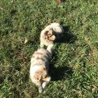 processed/422afd4b-b34e-47b0-8602-870ba8a02945/facility/e92e4e83-99c3-44bc-a9e2-f75212ee9aaf