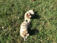 processed/422afd4b-b34e-47b0-8602-870ba8a02945/facility/e92e4e83-99c3-44bc-a9e2-f75212ee9aaf