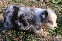 processed/422afd4b-b34e-47b0-8602-870ba8a02945/listing/1576401c-2c14-4cb7-b7ab-4aa318e8d356/1d10ff96-ac4c-4fa6-9e79-f0c4cdc9f138