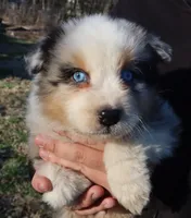 processed/422afd4b-b34e-47b0-8602-870ba8a02945/listing/1576401c-2c14-4cb7-b7ab-4aa318e8d356/3f0e68ea-c78d-43ec-8115-2cf1df7b7e38