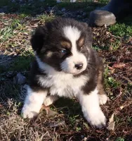 processed/422afd4b-b34e-47b0-8602-870ba8a02945/listing/58eef4e0-f85a-46a9-ac72-0505c9b09fd2/86430907-0598-4541-850a-b98305d4a780