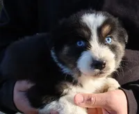 processed/422afd4b-b34e-47b0-8602-870ba8a02945/listing/58eef4e0-f85a-46a9-ac72-0505c9b09fd2/a0659a88-0dc9-4d1e-a391-1f4d706d912e