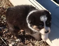 processed/422afd4b-b34e-47b0-8602-870ba8a02945/listing/58eef4e0-f85a-46a9-ac72-0505c9b09fd2/edc65d8a-9881-4396-98bf-ee4211d6de04