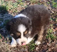 processed/422afd4b-b34e-47b0-8602-870ba8a02945/listing/58eef4e0-f85a-46a9-ac72-0505c9b09fd2/fc0311e4-a244-4f83-8cd8-8370b8cf47b4