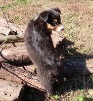 processed/422afd4b-b34e-47b0-8602-870ba8a02945/listing/85fde7ba-0006-4c9d-b908-dbddb516e9e8/7abd3054-a71c-4655-84a2-99ce916081cf