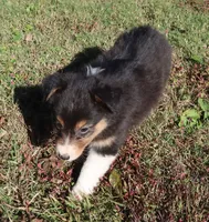 processed/422afd4b-b34e-47b0-8602-870ba8a02945/listing/85fde7ba-0006-4c9d-b908-dbddb516e9e8/9631a6f4-37c1-478e-ab8c-3b3b3347f078