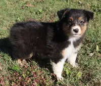 processed/422afd4b-b34e-47b0-8602-870ba8a02945/listing/85fde7ba-0006-4c9d-b908-dbddb516e9e8/aa105850-3646-4540-80f4-28783c855d53