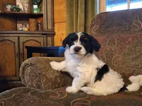 processed/42383edf-d390-48eb-890d-84a08d17da2b/listing/2632a4e3-30a2-4819-8c3b-92cbb2e7c19f/20ad1070-e5c4-472b-8df8-2f8718842756