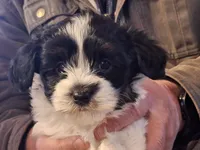 processed/42383edf-d390-48eb-890d-84a08d17da2b/listing/2632a4e3-30a2-4819-8c3b-92cbb2e7c19f/20d464f8-7261-4981-a13d-6a5e4d22bdb5