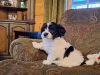 processed/42383edf-d390-48eb-890d-84a08d17da2b/listing/2632a4e3-30a2-4819-8c3b-92cbb2e7c19f/c5bd8c16-c413-486e-b539-93962dcc6a19