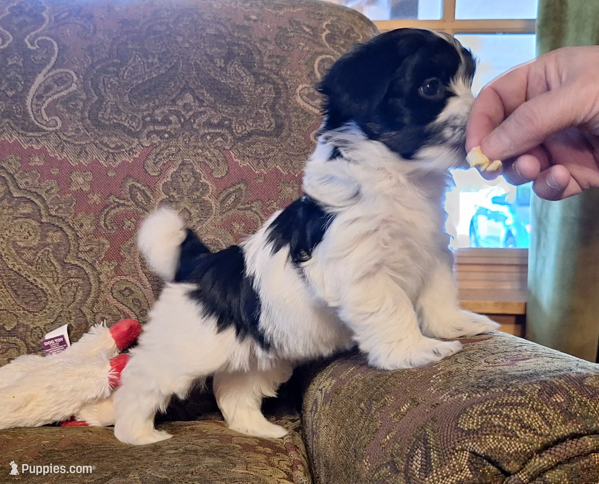 processed/42383edf-d390-48eb-890d-84a08d17da2b/listing/2632a4e3-30a2-4819-8c3b-92cbb2e7c19f/d524cbe9-a522-46c2-90a6-ff4e6c6d5008