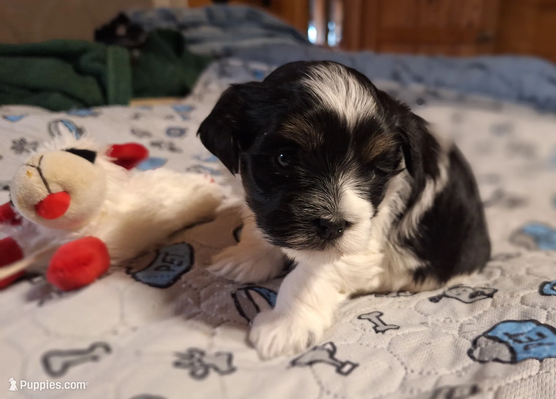 processed/42383edf-d390-48eb-890d-84a08d17da2b/listing/4047b6f7-016d-4fad-a0c8-3cde21b95b01/0c306506-63e5-4769-8f8d-7b46d26d9d9f