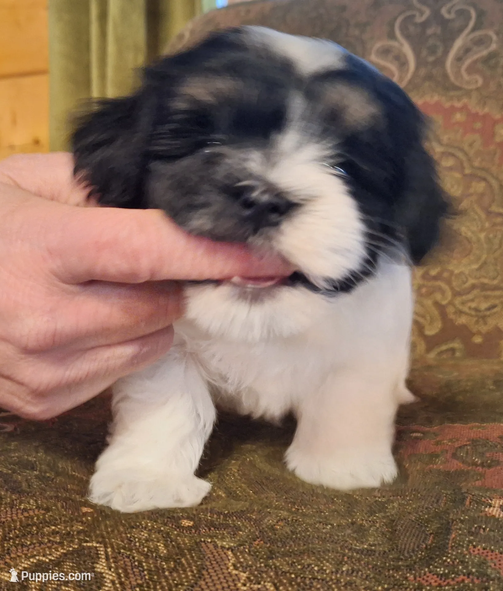 processed/42383edf-d390-48eb-890d-84a08d17da2b/listing/4047b6f7-016d-4fad-a0c8-3cde21b95b01/1be2b64a-ff00-48dd-9f0b-b371bb936200