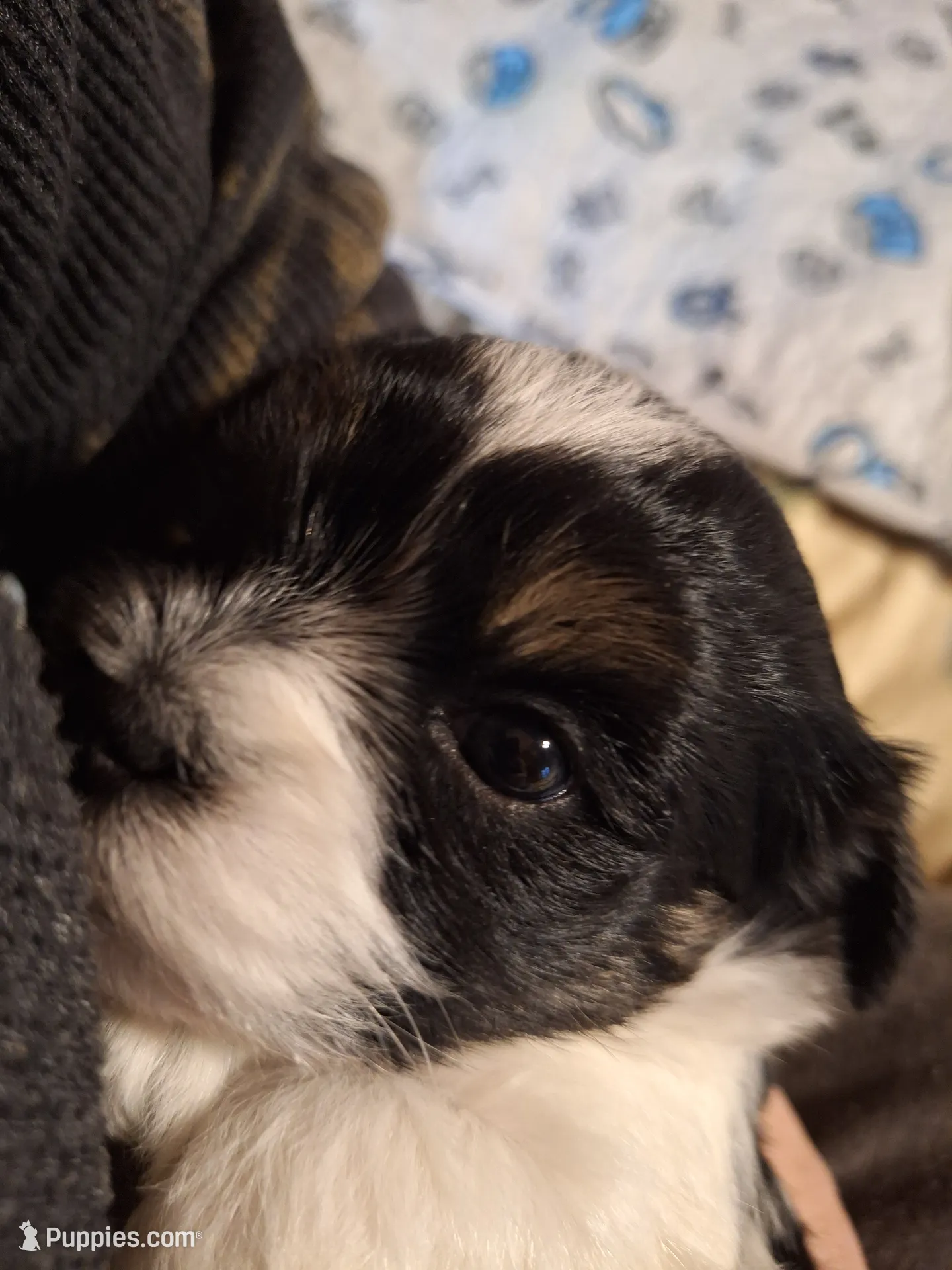 processed/42383edf-d390-48eb-890d-84a08d17da2b/listing/4047b6f7-016d-4fad-a0c8-3cde21b95b01/bcf675a7-1355-4512-b61f-2b1e2484bc43