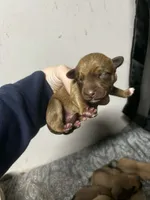 processed/423cfecb-826f-4043-b000-bd9414342ed8/listing/274172f0-cd70-4523-a78d-bdc13521b6d8/4ff9ab99-e8e8-468e-9316-6870010219dd