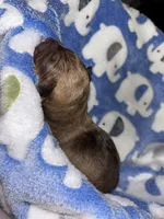 processed/423cfecb-826f-4043-b000-bd9414342ed8/listing/274172f0-cd70-4523-a78d-bdc13521b6d8/5c176f74-3949-42b8-8f97-8cf5f3ee03da