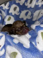 processed/423cfecb-826f-4043-b000-bd9414342ed8/listing/274172f0-cd70-4523-a78d-bdc13521b6d8/6bd6e35c-aceb-4347-863e-9aa4f5f9e108