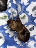 processed/423cfecb-826f-4043-b000-bd9414342ed8/listing/274172f0-cd70-4523-a78d-bdc13521b6d8/ace7cfc5-b703-4914-88e2-96cd7e23f4c3