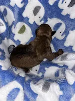 processed/423cfecb-826f-4043-b000-bd9414342ed8/listing/274172f0-cd70-4523-a78d-bdc13521b6d8/fff83f1e-4466-4d6d-a314-bc853e95559f