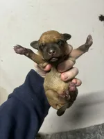 processed/423cfecb-826f-4043-b000-bd9414342ed8/listing/71588290-f0fa-4a4e-b1f0-5d9997febae1/1b101c82-c597-41f9-85b5-b5202de7b4b3