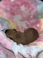 processed/423cfecb-826f-4043-b000-bd9414342ed8/listing/71588290-f0fa-4a4e-b1f0-5d9997febae1/477f4bd9-b646-43e4-aab7-8b939edccc66