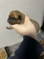 processed/423cfecb-826f-4043-b000-bd9414342ed8/listing/71588290-f0fa-4a4e-b1f0-5d9997febae1/a95b9dd7-d5f2-4f80-aa2c-62a5a2fd2954